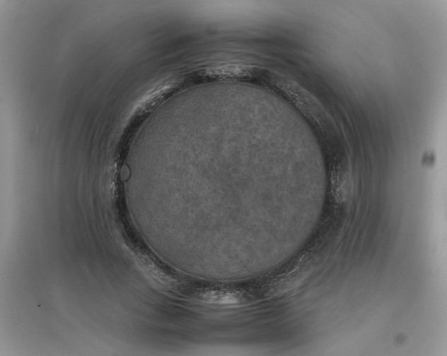 X0000097620735200803142001