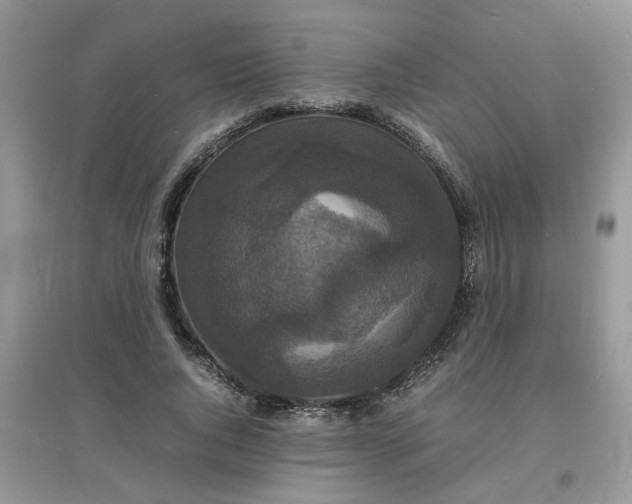 X0000097620736200803142001