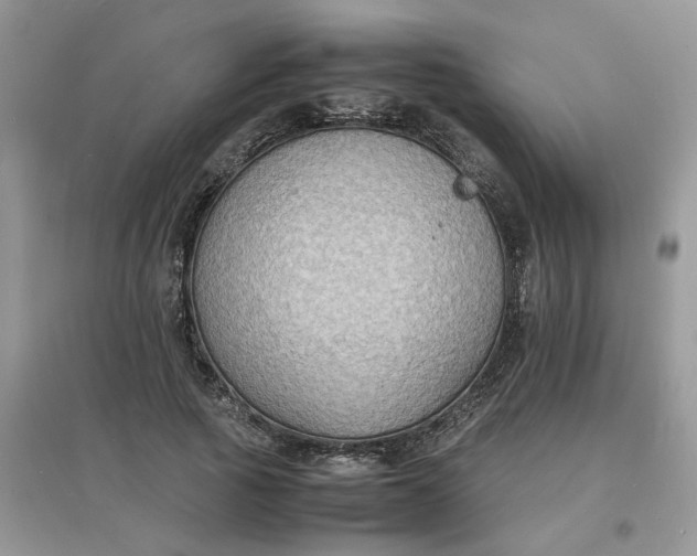 X0000097620737200803142001