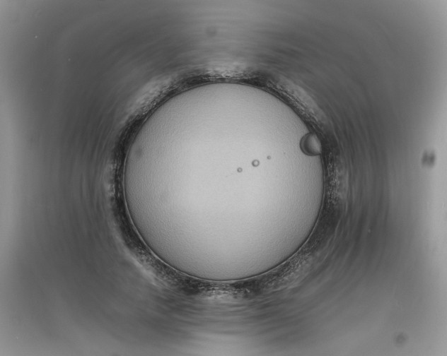 X0000097620738200803142001