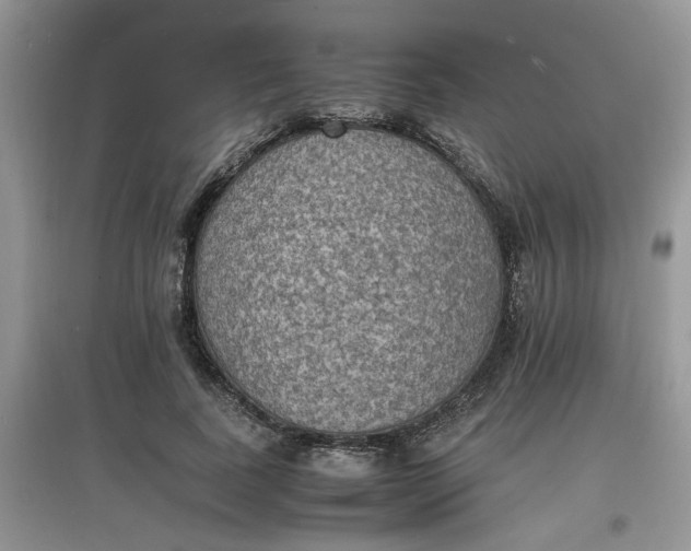 X0000097620739200803142001