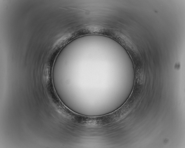 X0000097620740200803142002