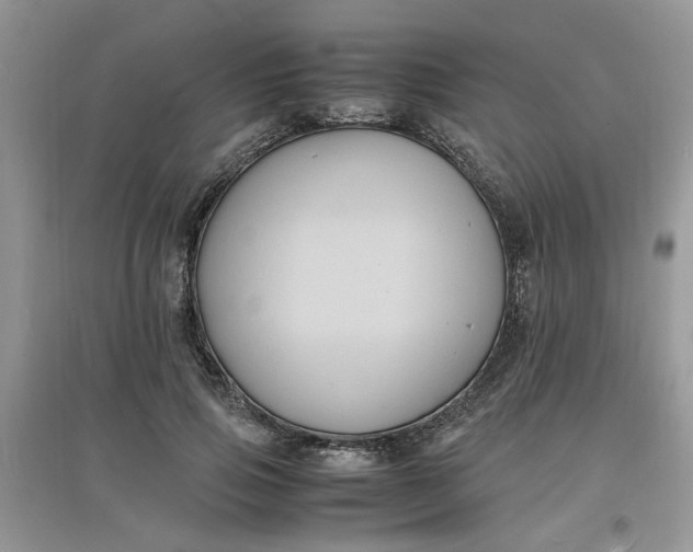 X0000097620741200803142002
