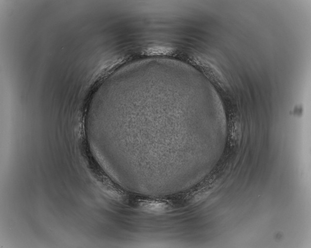 X0000097620743200803142002