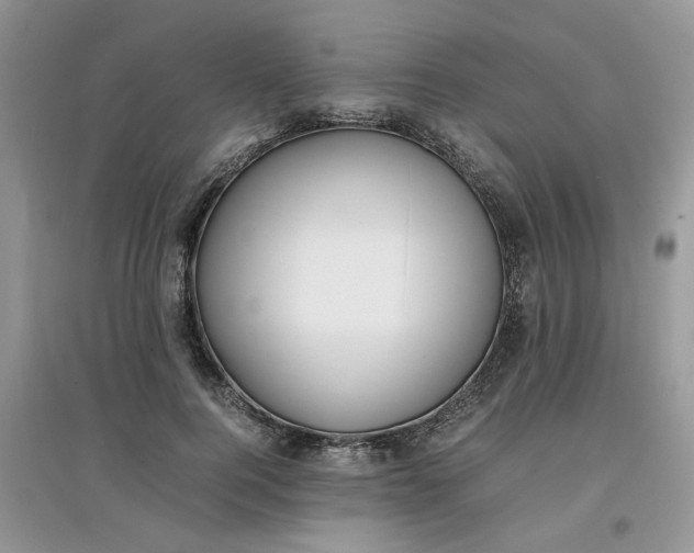 X0000097620744200803142002