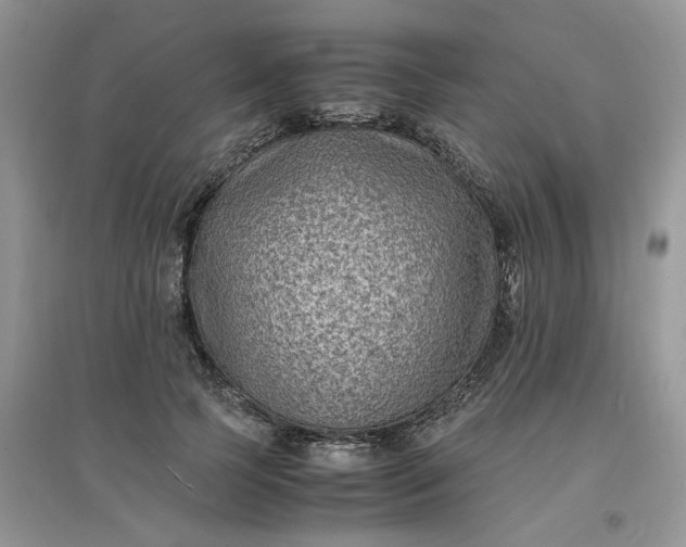 X0000097620745200803142002