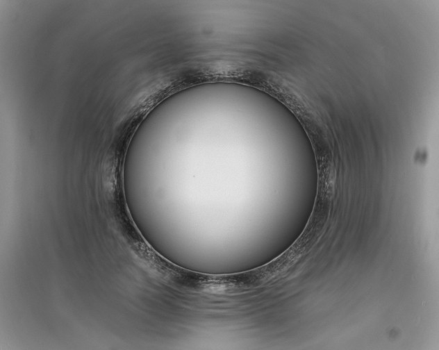 X0000097620746200803142002