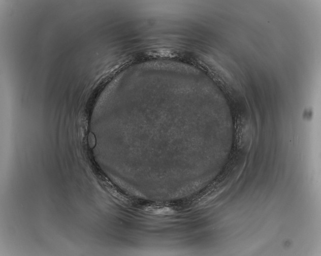 X0000097620747200803142002