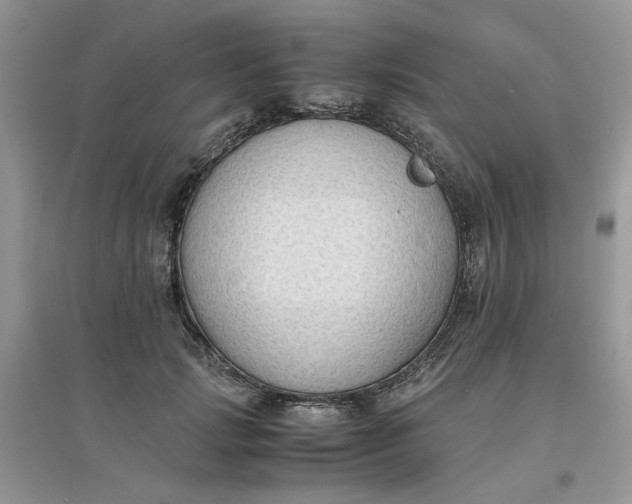 X0000097620749200803142002