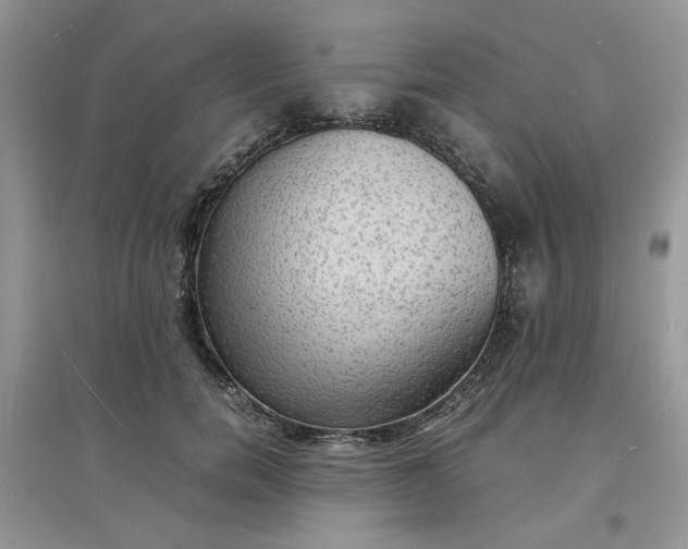 X0000097620750200803142002