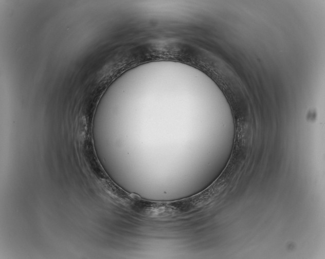X0000097620752200803142002