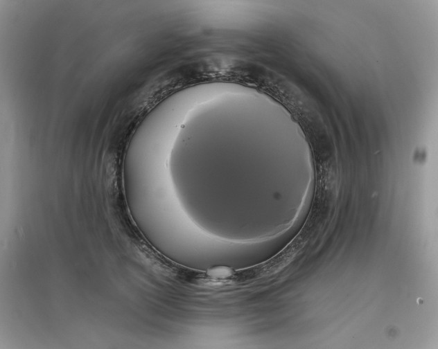 X0000097620754200803142002