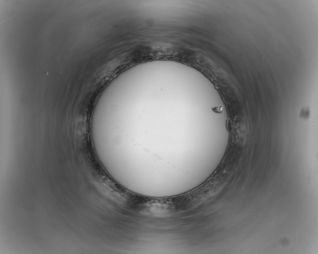 X0000097620756200803142002
