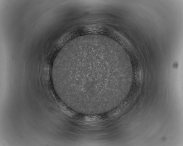 X0000097620757200803142002