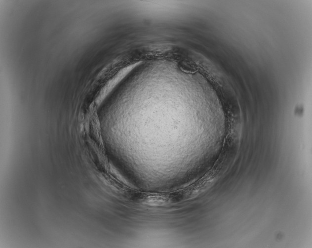 X0000097620758200803142002