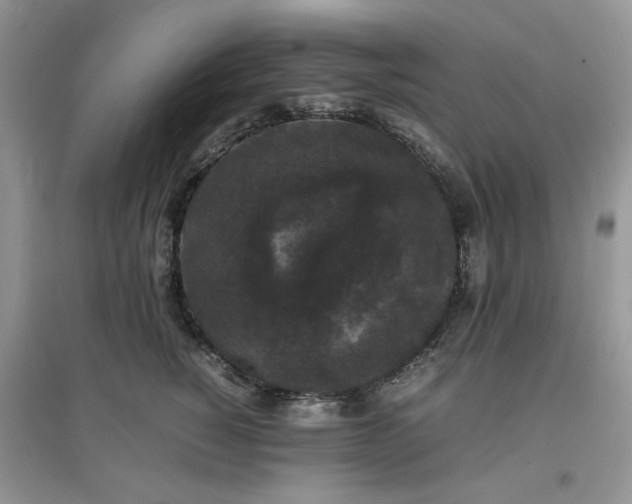 X0000097620760200803142002