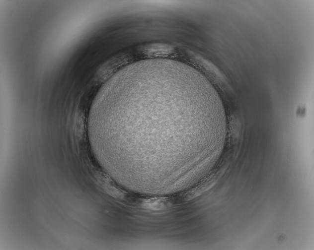 X0000097620761200803142002