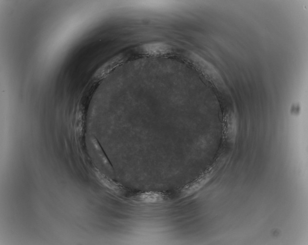 X0000097620762200803142002