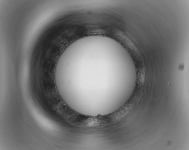 X0000097620764200803142002