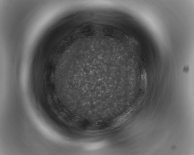 X0000097620765200803142002