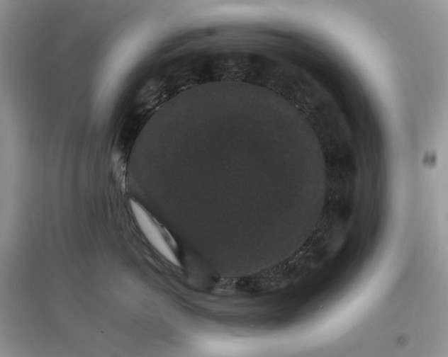 X0000097620766200803142002