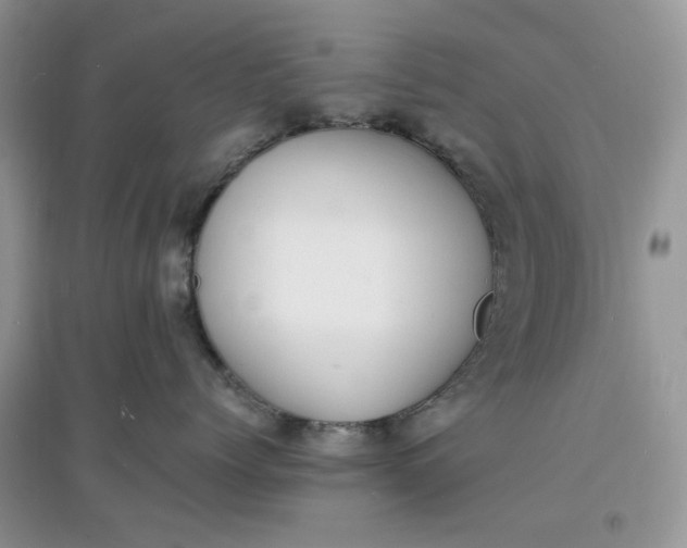 X0000097620768200803142002