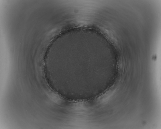 X0000097620769200803142001