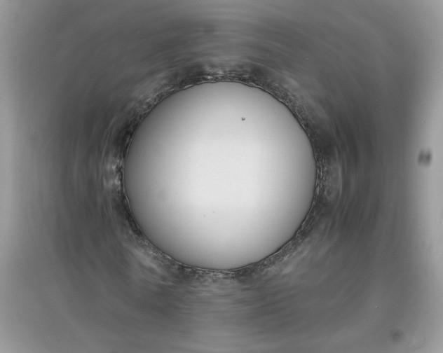 X0000097620770200803142001