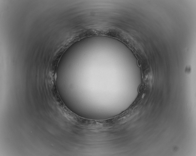 X0000097620772200803142001