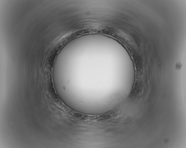 X0000097620773200803142001