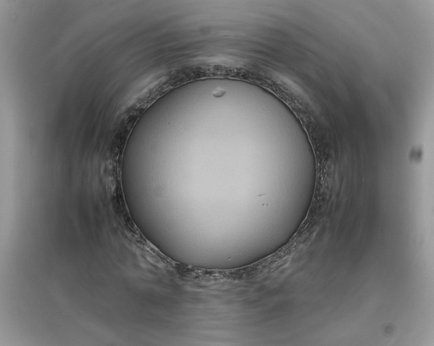 X0000097620774200803142001