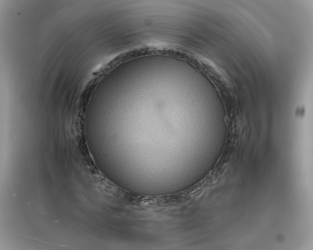 X0000097620776200803142001