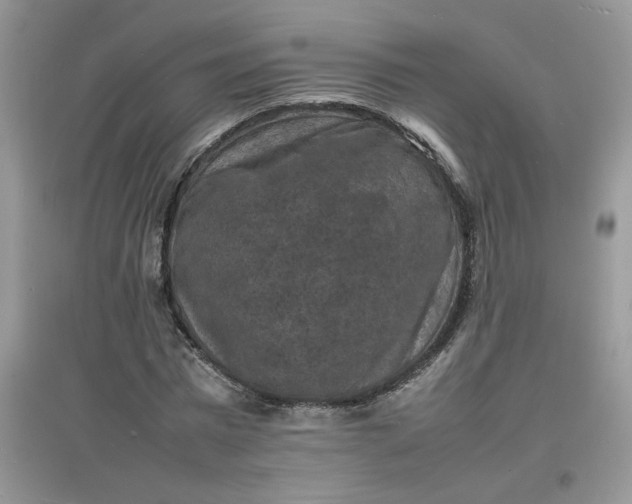 X0000097620777200803142001