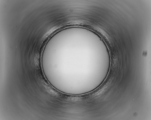 X0000097620778200803142001