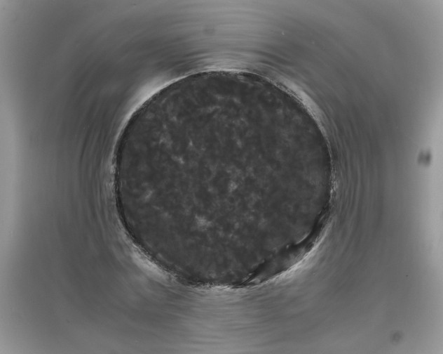 X0000097620779200803142001