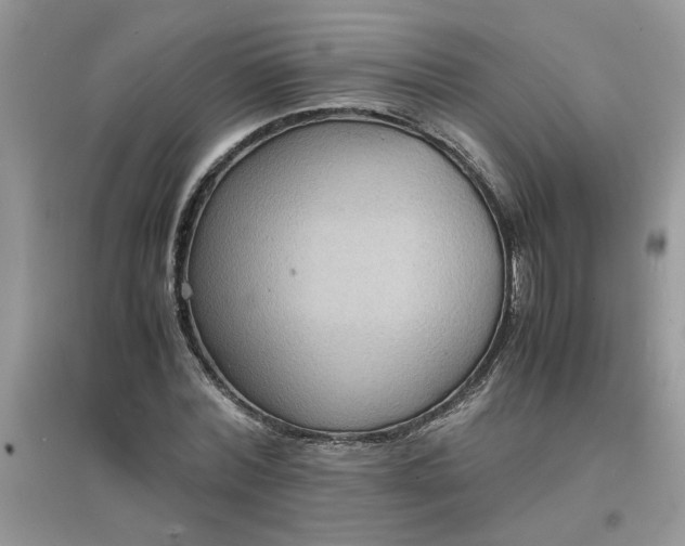 X0000097620780200803142001