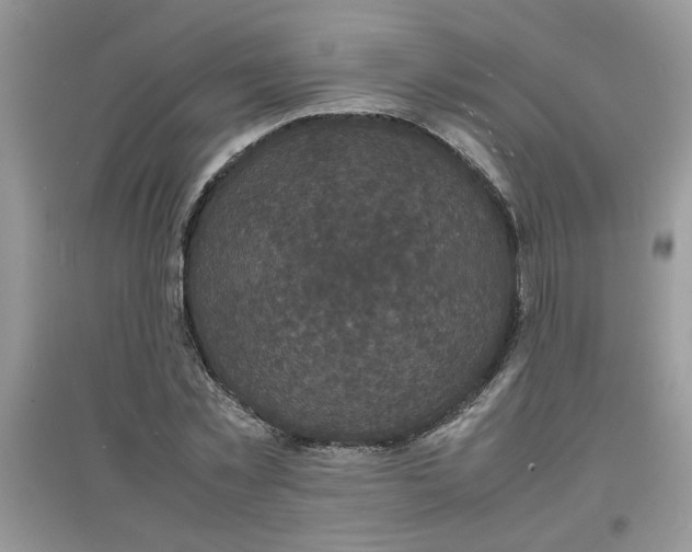 X0000097620781200803142001