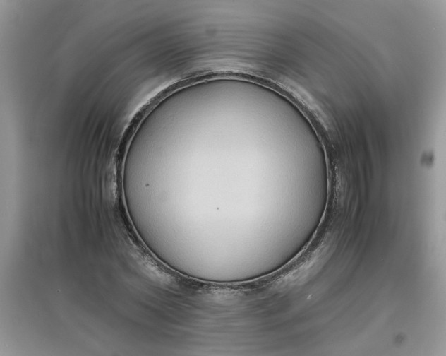 X0000097620782200803142001
