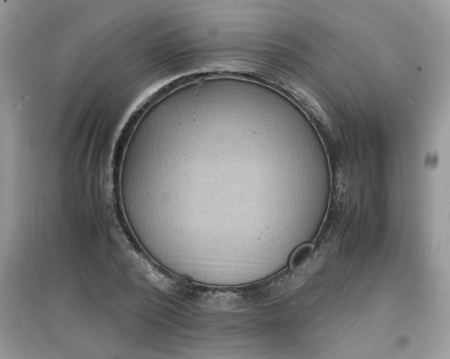 X0000097620784200803142001