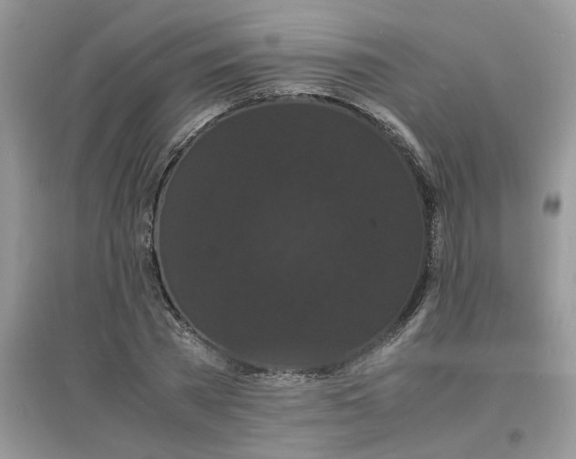 X0000097620785200803142001