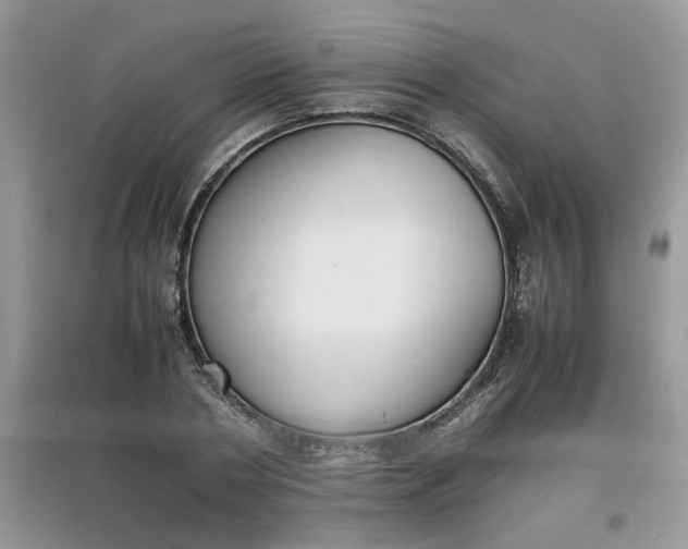 X0000097620786200803142001