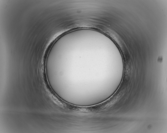 X0000097620787200803142001