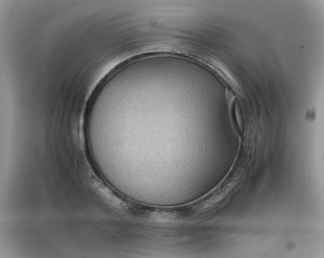 X0000097620788200803142001