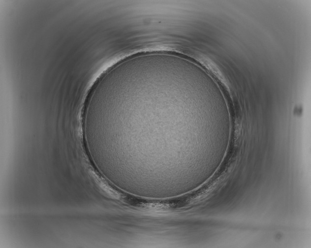 X0000097620789200803142001