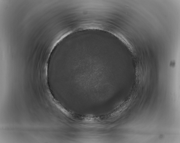 X0000097620790200803142001