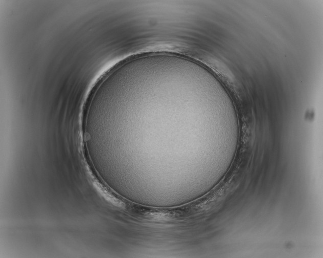 X0000097620792200803142001