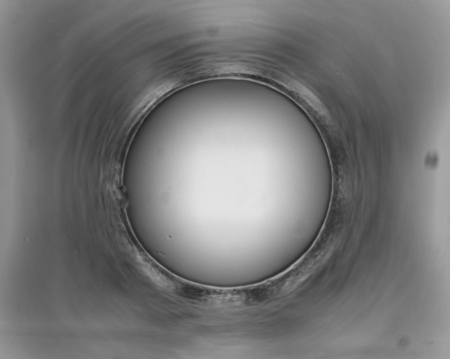 X0000097620793200803142001