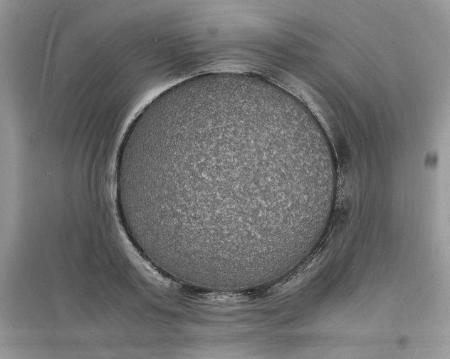 X0000097620795200803142001