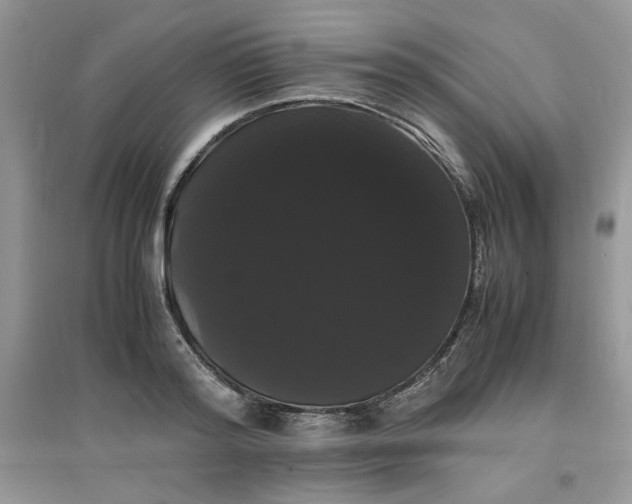 X0000097620796200803142001