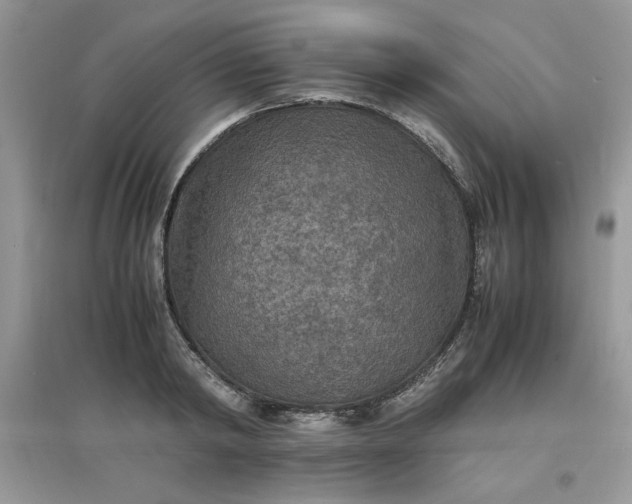 X0000097620798200803142001